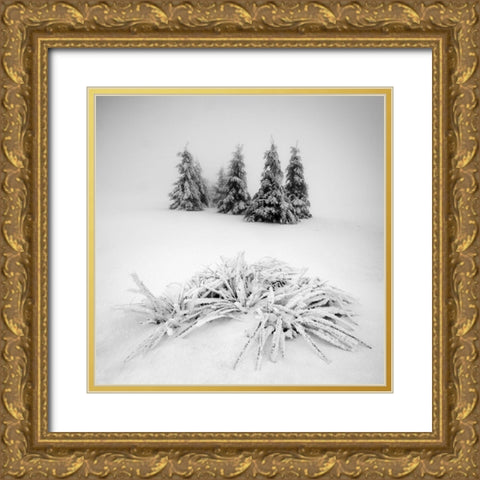 Winter Scenery Gold Ornate Wood Framed Art Print with Double Matting by Rericha, Daniel