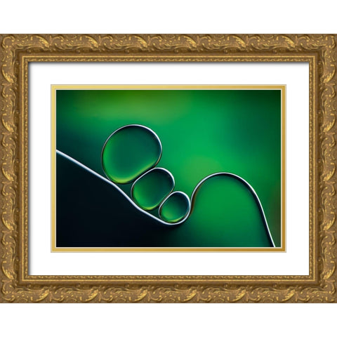 Shifting Shapes Gold Ornate Wood Framed Art Print with Double Matting by Hammer, Jacqueline