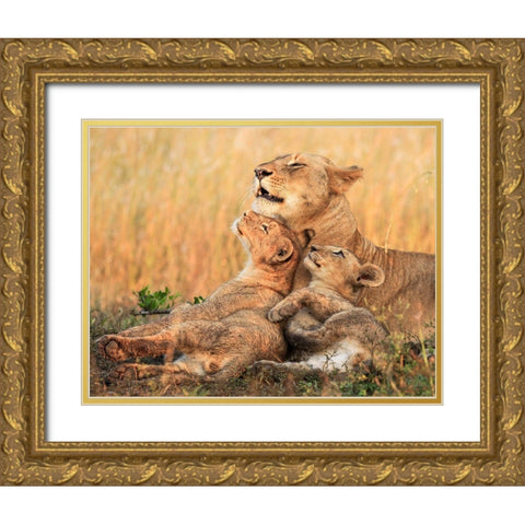 Mothers Love Gold Ornate Wood Framed Art Print with Double Matting by Marx, Jaco