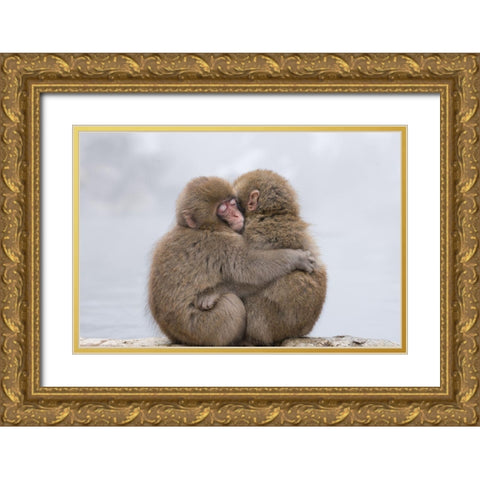 Forever Friends Gold Ornate Wood Framed Art Print with Double Matting by Marumoto, Takeshi
