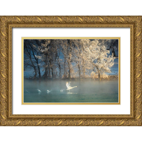 Spirit Of A Swan Gold Ornate Wood Framed Art Print with Double Matting by Mei, C.