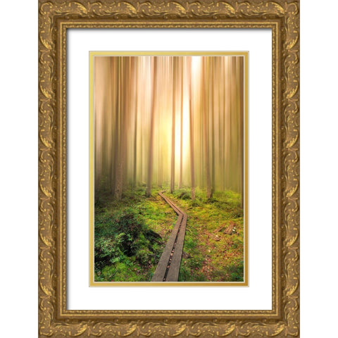 Into The Light Gold Ornate Wood Framed Art Print with Double Matting by Lindsten, Christian