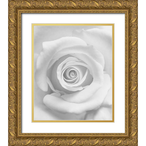 The Rose Gold Ornate Wood Framed Art Print with Double Matting by Lagaa, Kahar