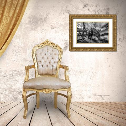 The Horse Gold Ornate Wood Framed Art Print with Double Matting by Faris