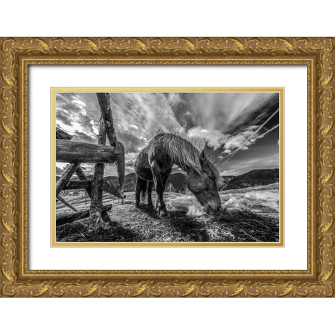 The Horse Gold Ornate Wood Framed Art Print with Double Matting by Faris