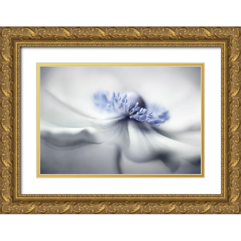 Anemone Spirit Gold Ornate Wood Framed Art Print with Double Matting by Disher, Mandy