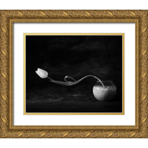 Tulip No. 3 Gold Ornate Wood Framed Art Print with Double Matting by Heredia, Xavi