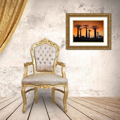 Sunset In Morondava Gold Ornate Wood Framed Art Print with Double Matting by Ren Rong, Raymond