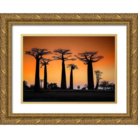 Sunset In Morondava Gold Ornate Wood Framed Art Print with Double Matting by Ren Rong, Raymond