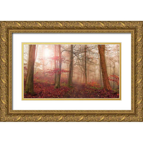 Forest Scene. Gold Ornate Wood Framed Art Print with Double Matting by Londal, Leif