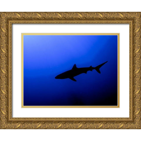 Silhouette Gold Ornate Wood Framed Art Print with Double Matting by Ben Tov, Ilan