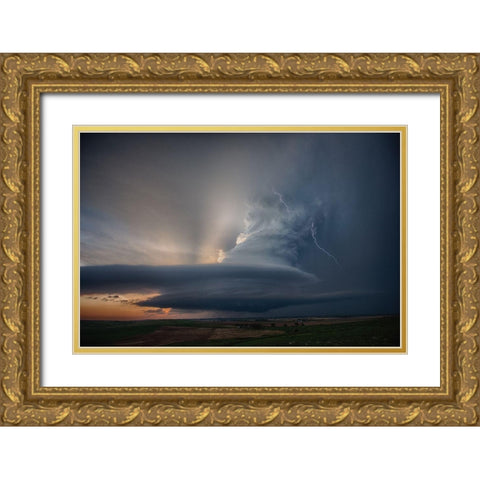 Nebraska Summer Gold Ornate Wood Framed Art Print with Double Matting by Fisher, Alexander