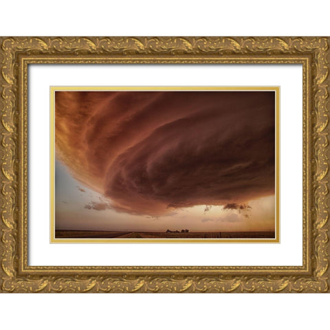 The Pink Storm Gold Ornate Wood Framed Art Print with Double Matting by Fisher, Alexander