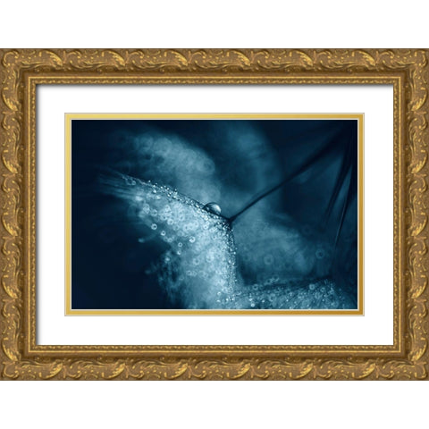 Blue Dandelions Gold Ornate Wood Framed Art Print with Double Matting by Blagoeva, Ivelina