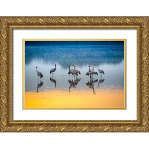 Untitled Gold Ornate Wood Framed Art Print with Double Matting by Amer, Eyal