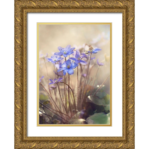 Spring... Gold Ornate Wood Framed Art Print with Double Matting by Anca, Iacob