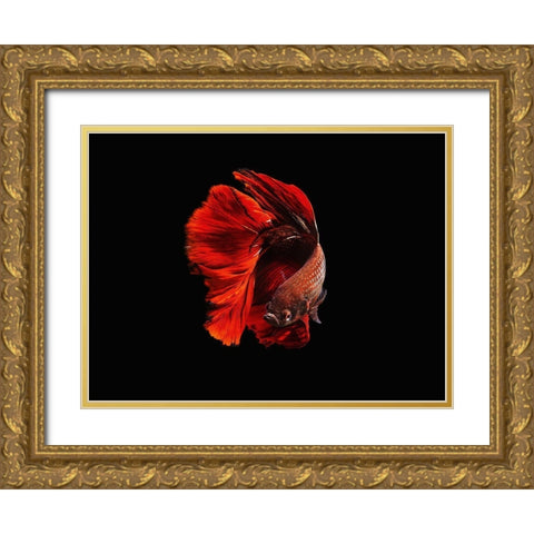The Red Gold Ornate Wood Framed Art Print with Double Matting by Halil, Andi