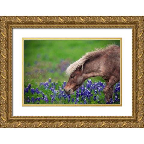 Spring Is In The Air... Gold Ornate Wood Framed Art Print with Double Matting by Zheng, Michael