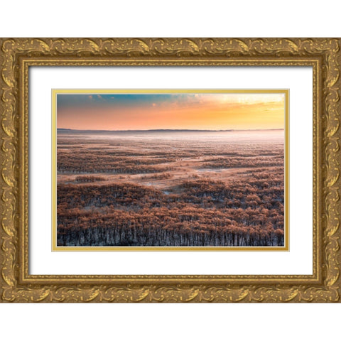 Dawn Gold Ornate Wood Framed Art Print with Double Matting by Nihashi, Susumu
