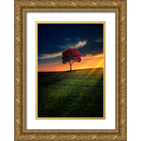 Awesome Solitude Gold Ornate Wood Framed Art Print with Double Matting by Hamiti, Bess