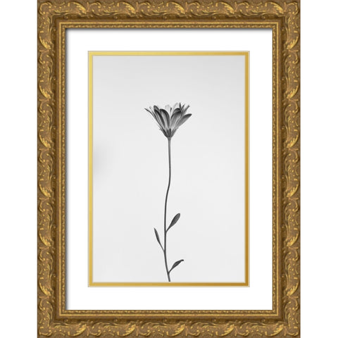 Daisy Gold Ornate Wood Framed Art Print with Double Matting by Lagandre Transgressed, Thierry