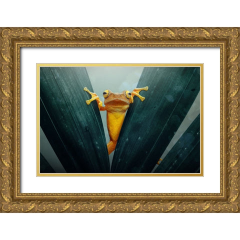 Gold Frog Gold Ornate Wood Framed Art Print with Double Matting by Priyadi, Andri