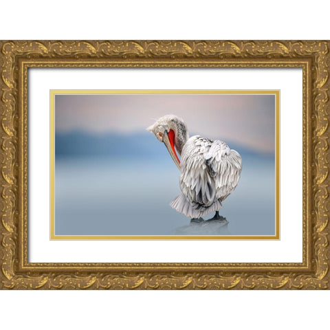Dalmatian Pelican At Dawn Gold Ornate Wood Framed Art Print with Double Matting by Ortega, Xavier