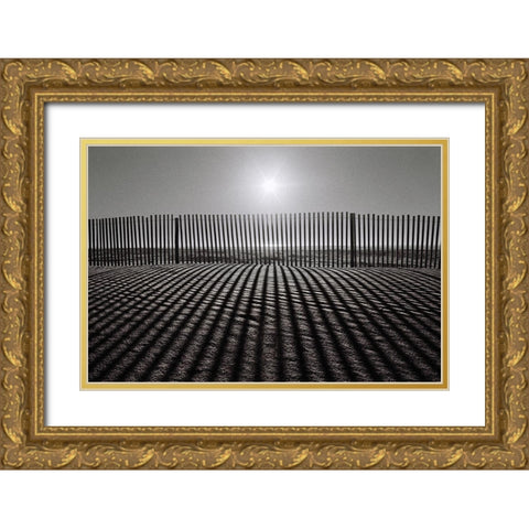 Grey Over Grey Gold Ornate Wood Framed Art Print with Double Matting by Abrantes, Paulo