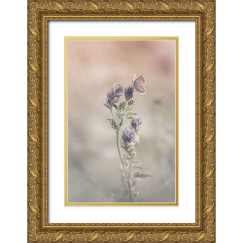 Sweet World Gold Ornate Wood Framed Art Print with Double Matting by Bastien, Sam