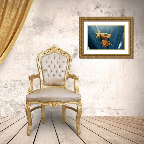 Frog - The Gold Gold Ornate Wood Framed Art Print with Double Matting by Priyadi, Andri