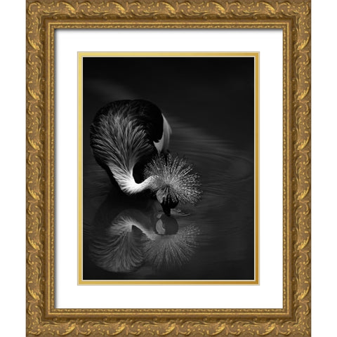 The Reflection Gold Ornate Wood Framed Art Print with Double Matting by Tjandra, C.S.