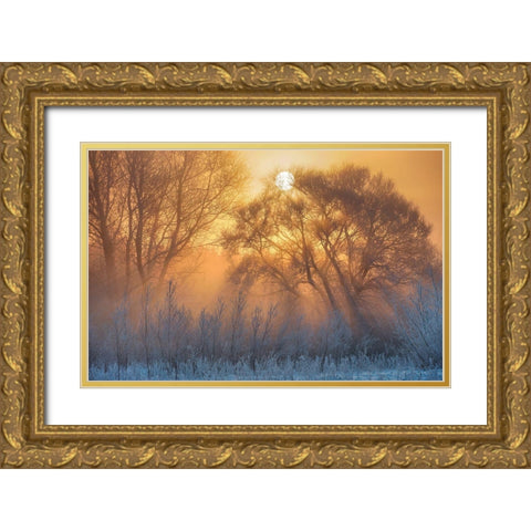 Warm And Cold Gold Ornate Wood Framed Art Print with Double Matting by Keller
