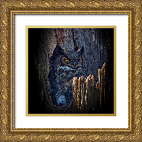 Hide And Seek Gold Ornate Wood Framed Art Print with Double Matting by Cheng, Yu