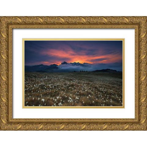 Blooming Dawn Gold Ornate Wood Framed Art Print with Double Matting by Manzoni, Michel