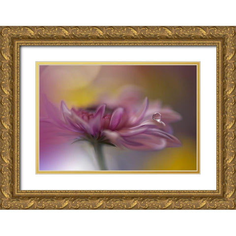 Beyond Words... Gold Ornate Wood Framed Art Print with Double Matting by Nan, Juliana