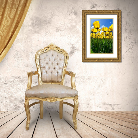 Tulipani Gold Ornate Wood Framed Art Print with Double Matting by Ravasco, Lorenzo