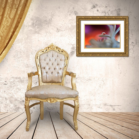 Happy Colors Gold Ornate Wood Framed Art Print with Double Matting by Westum, Heidi