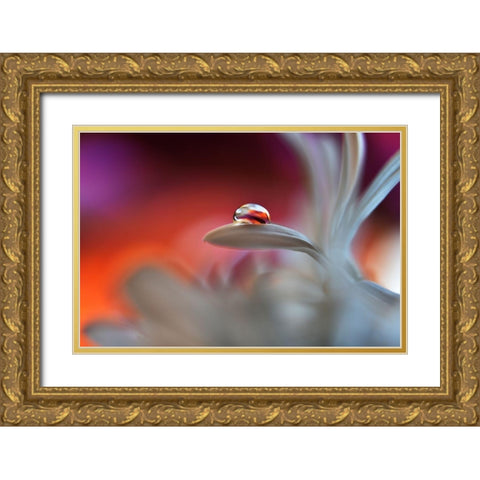 Happy Colors Gold Ornate Wood Framed Art Print with Double Matting by Westum, Heidi