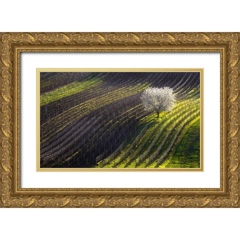Strings Of Spring Gold Ornate Wood Framed Art Print with Double Matting by Sokolovsky, Vlad