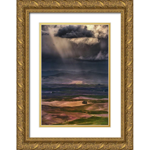 Rain Clouds Gold Ornate Wood Framed Art Print with Double Matting by Jacobs, Lydia