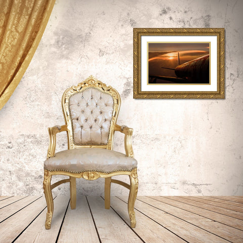 Out Of The Flight Gold Ornate Wood Framed Art Print with Double Matting by Khemkum, Ekkachai