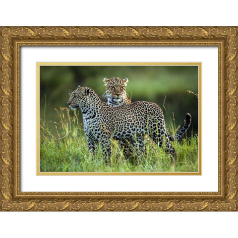 Leopard Family Gold Ornate Wood Framed Art Print with Double Matting by Roshkumar