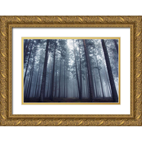 Mysterious Foggy Forest. Gold Ornate Wood Framed Art Print with Double Matting by Charouz, David