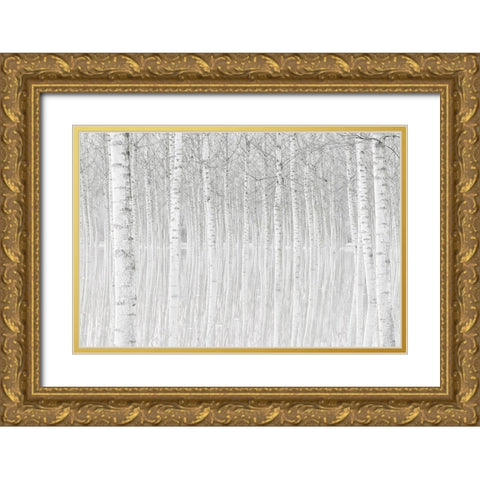 Trees Gold Ornate Wood Framed Art Print with Double Matting by Simone, Aglioni