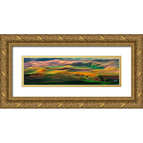 The Palouse Gold Ornate Wood Framed Art Print with Double Matting by Zhu, Hua
