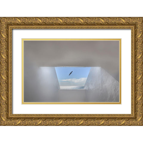 Hope Gold Ornate Wood Framed Art Print with Double Matting by Palceska, Anita