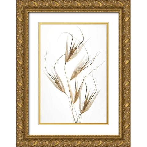 Delicacy Of Nature Gold Ornate Wood Framed Art Print with Double Matting by Lagandre, Thierry