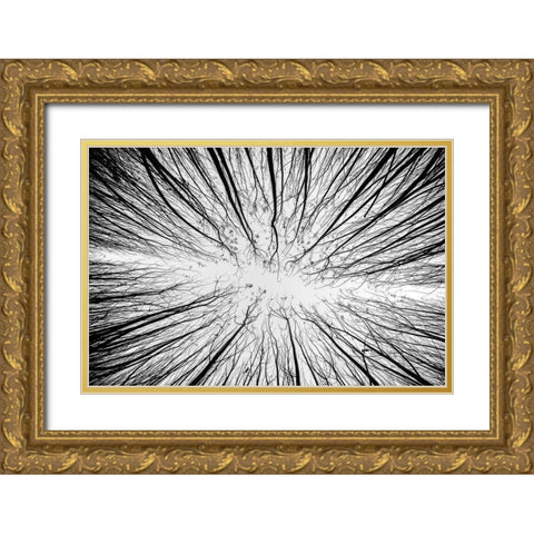 Up To The Sky Gold Ornate Wood Framed Art Print with Double Matting by Denisvesely