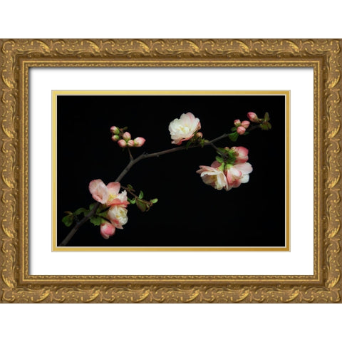Manzano Silvestre En Flor Gold Ornate Wood Framed Art Print with Double Matting by Rodriguez Maldonado, Antonio