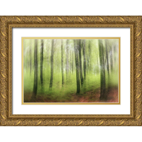 Spring Impression Gold Ornate Wood Framed Art Print with Double Matting by Davidsson, Gustav